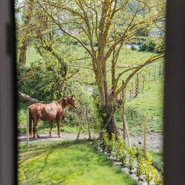 Extérieur - Jardin